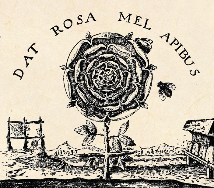 Dat Rosa Mel Apibus